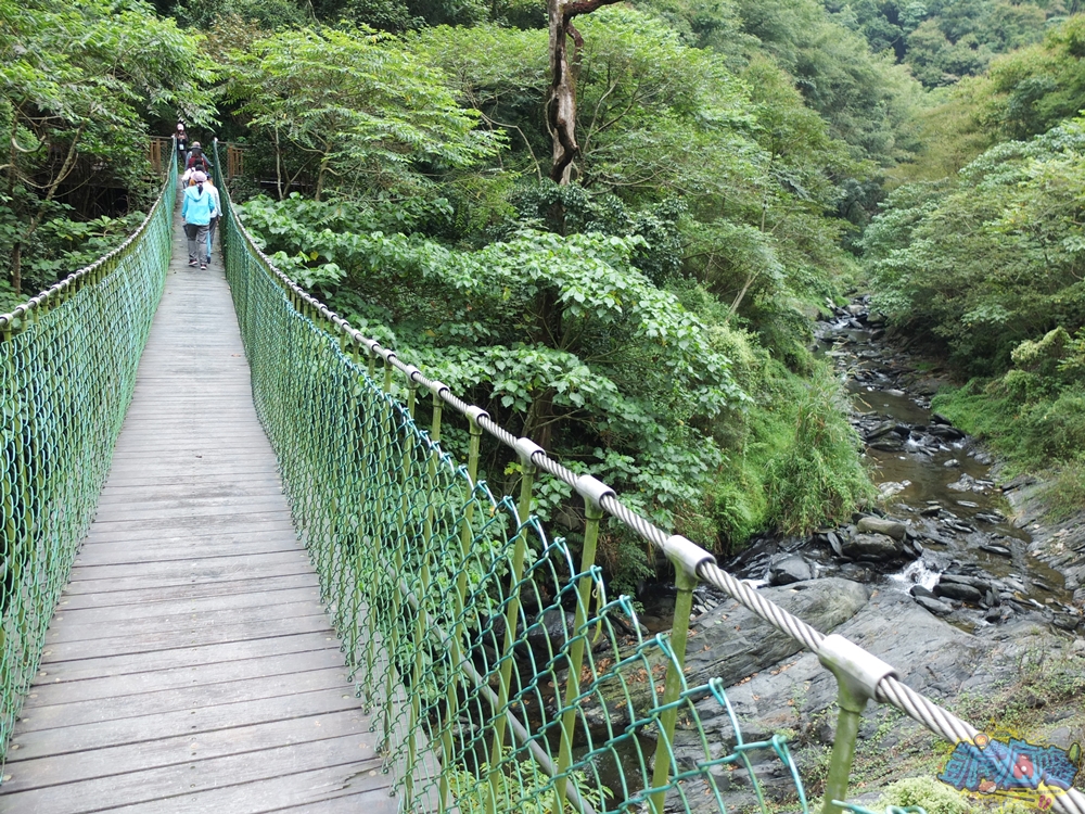 ▲走吊橋也是「羅木斯溪登山步道」的特色之處，共有兩座特色吊橋及一座小拱橋。